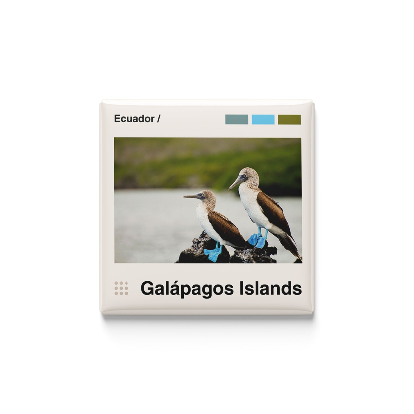 Galapagos Islands Magnet
