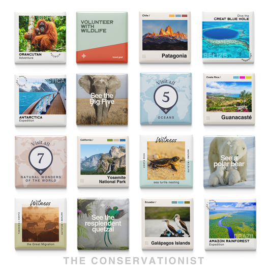 The Conservationist | Set of 16