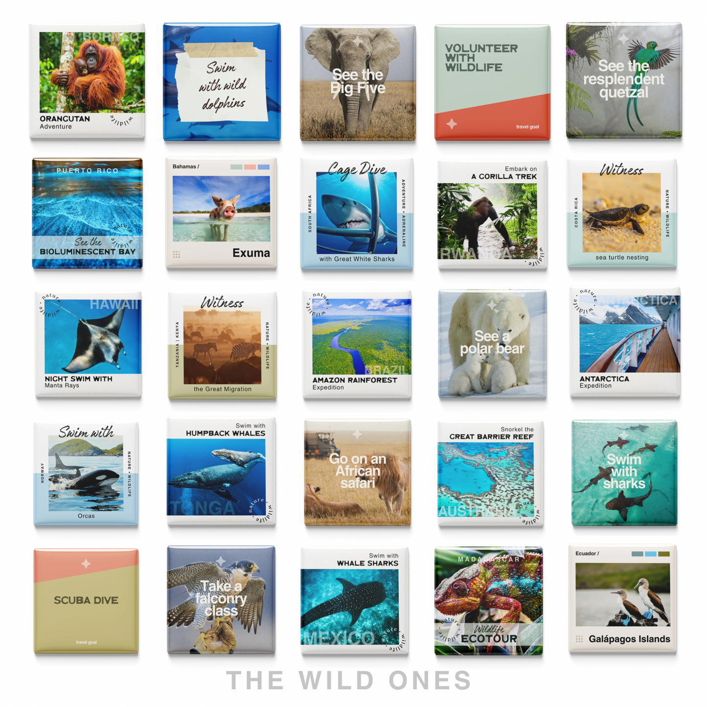 The Wild Ones | Set of 25