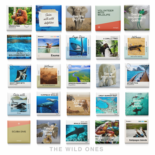 The Wild Ones | Set of 25