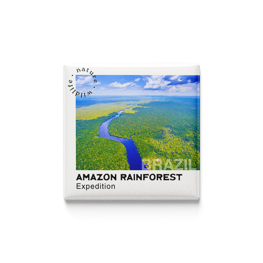 Amazon Rainforest Expedition Magnet