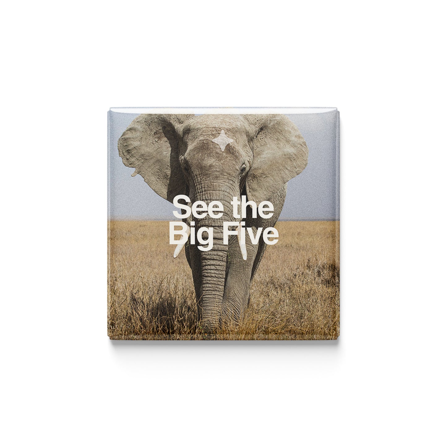 The Conservationist | Set of 16