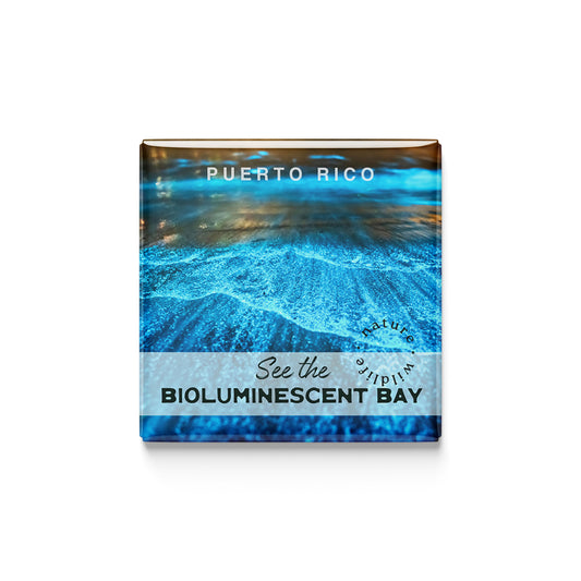 Bioluminescent Bays Magnet