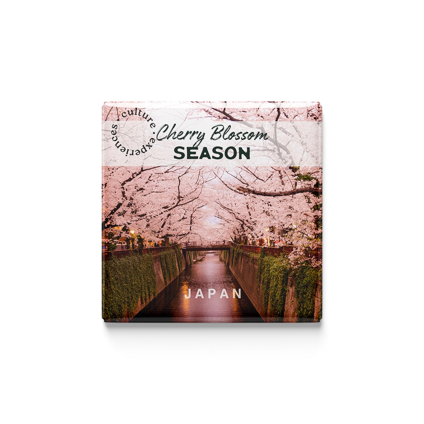 The Peace Seeker | Set of 9