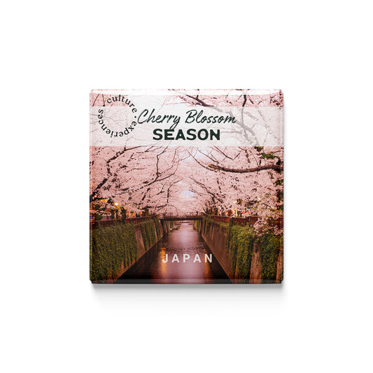 The Peace Seeker | Set of 9