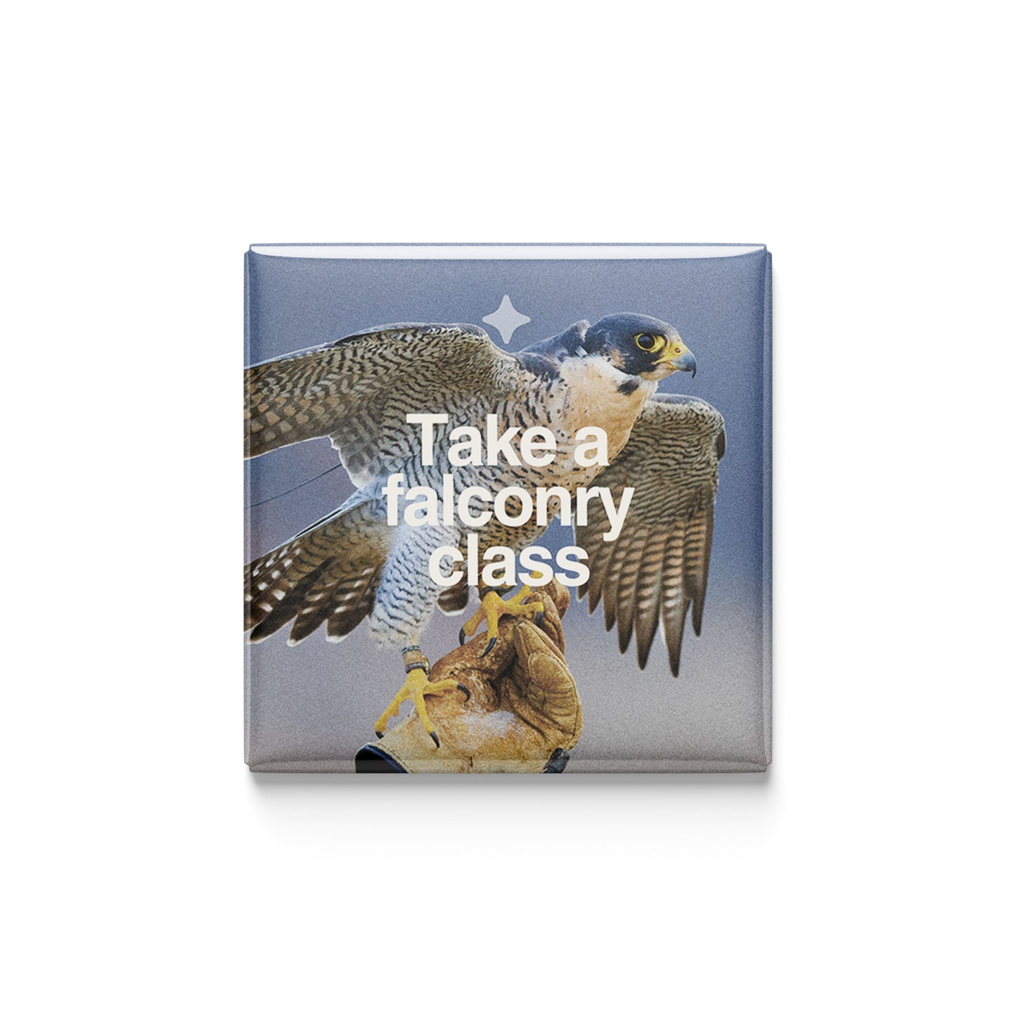 The Wild Ones | Set of 25