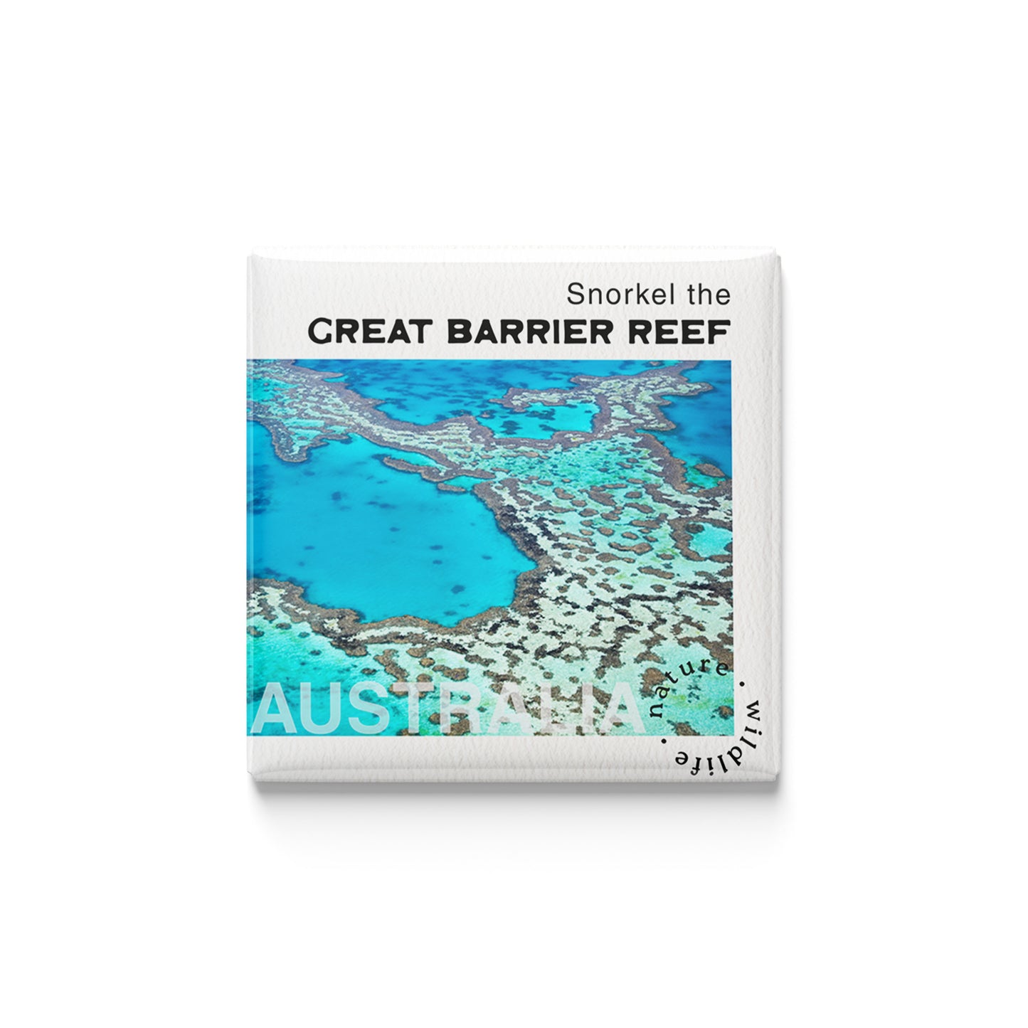 The Conservationist | Set of 16