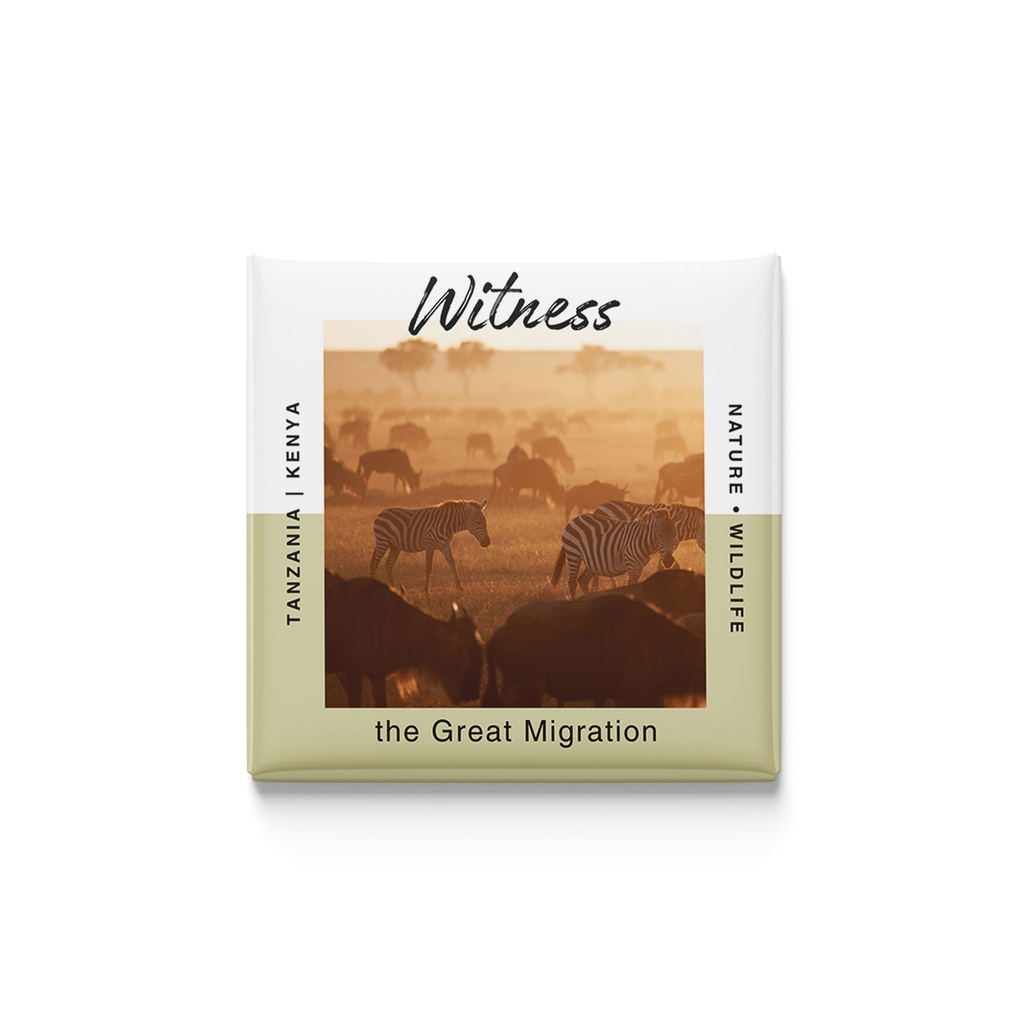 The Conservationist | Set of 16