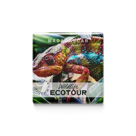 Wildlife Ecotour in Madagascar Magnet
