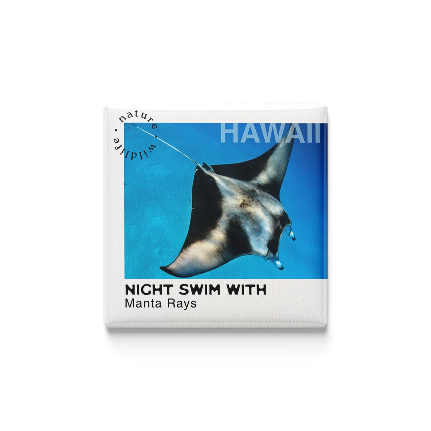 The Wild Ones | Set of 25