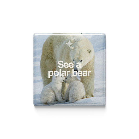 See a Polar Bear Magnet