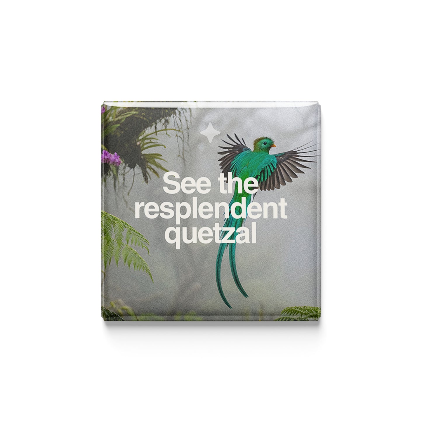 The Conservationist | Set of 16