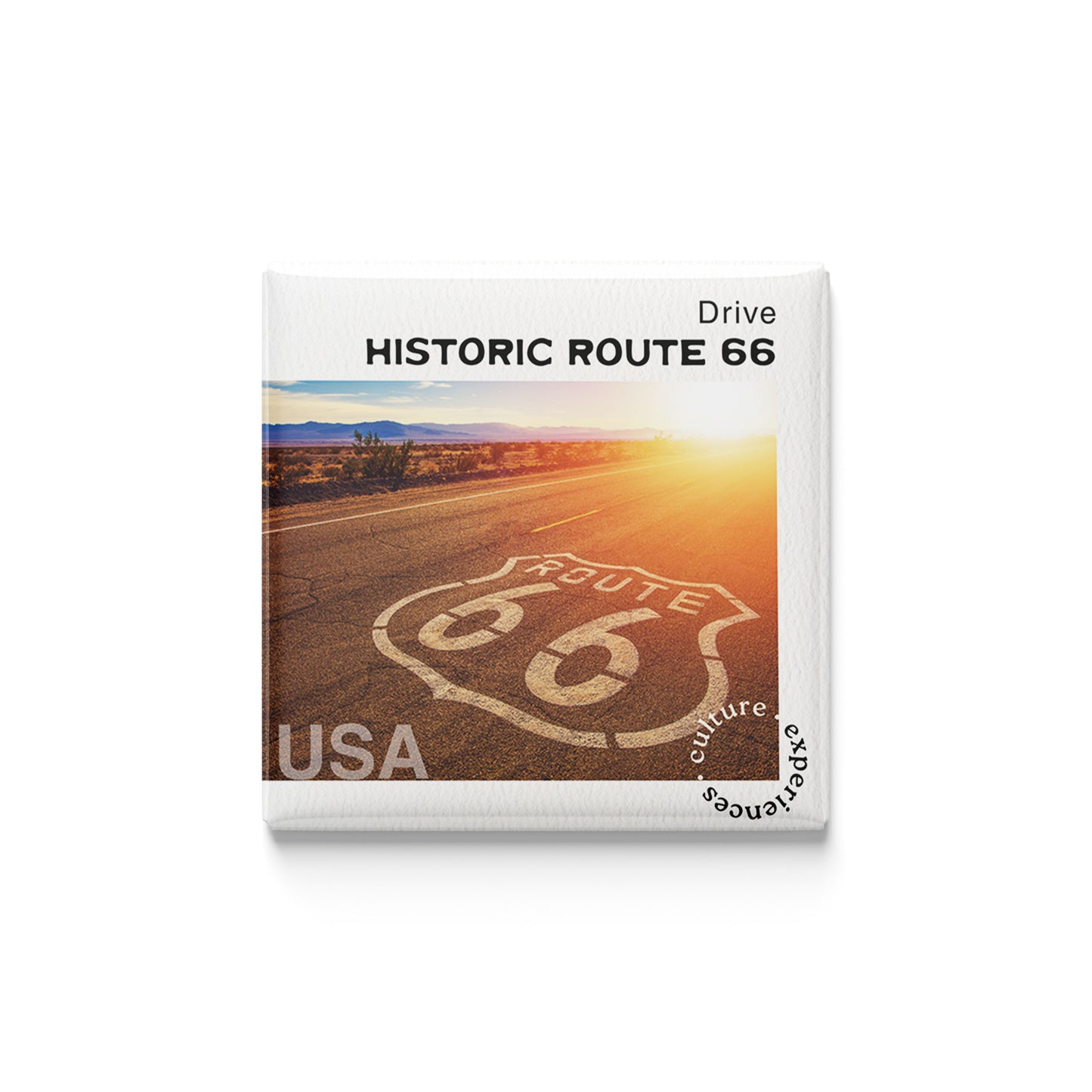 The History Buff | Set of 16