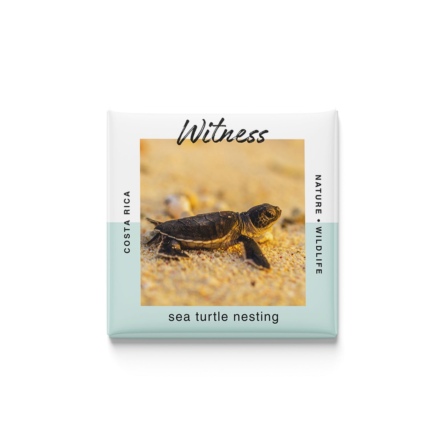 The Conservationist | Set of 16