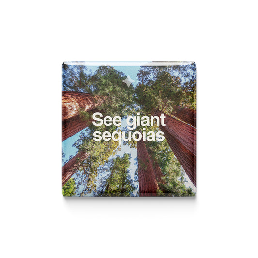 See Giant Sequoias Magnet