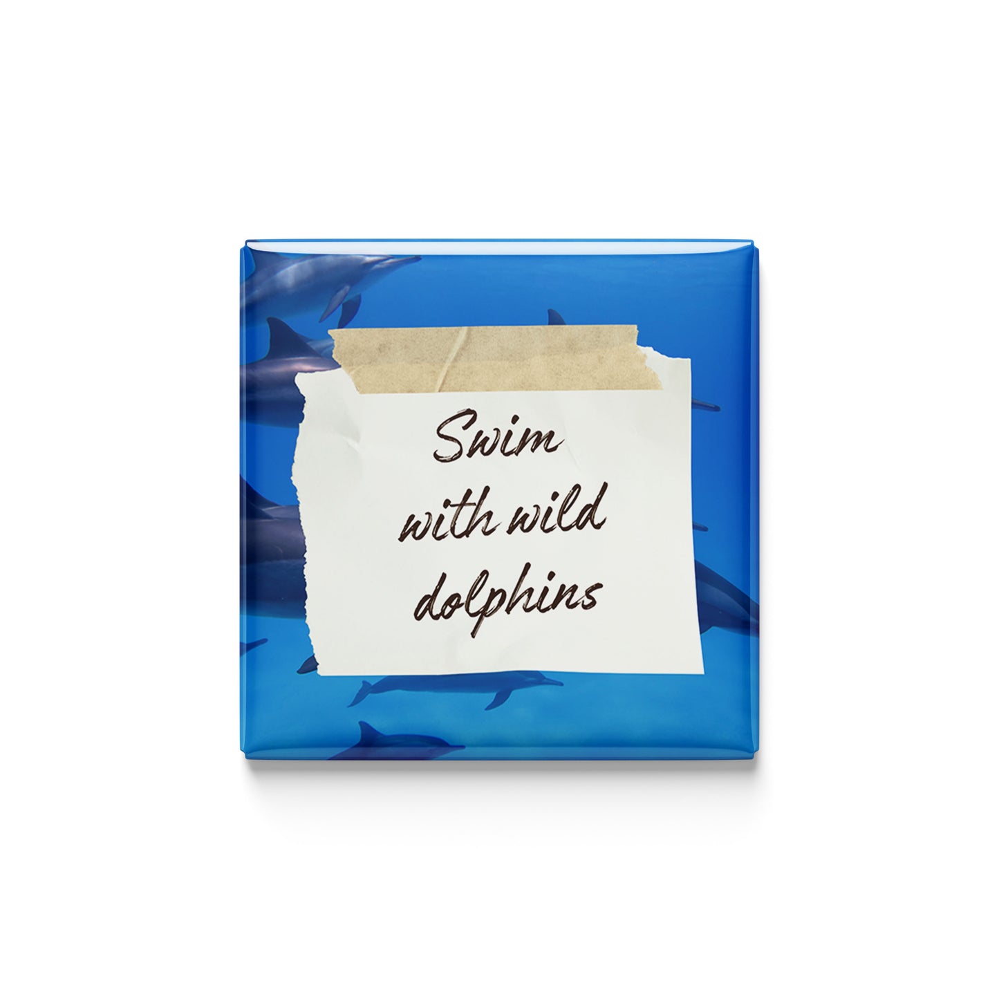 The Family Adventurers | Set of 16