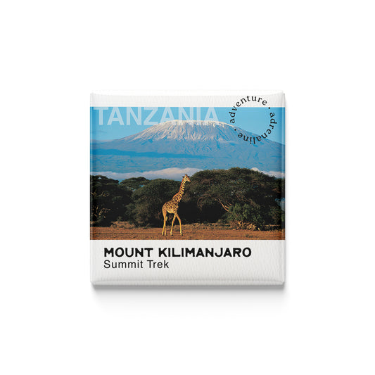 Summit Mount Kilimanjaro Magnet