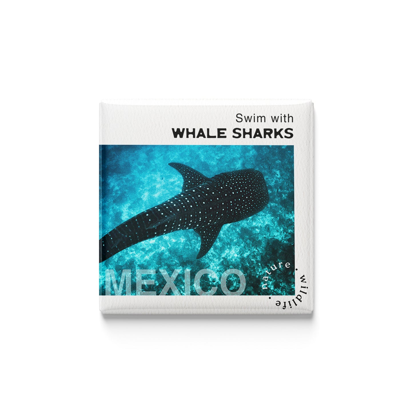 The Wild Ones | Set of 25